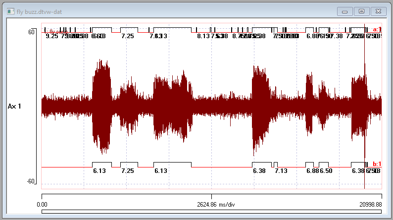 Rhythms in fly courtship song